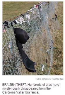 谁在一夜间偷走几百个<em>胸罩</em>?新西兰内衣墙又没