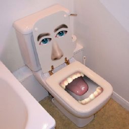 装摄像头 看看你还敢不敢再胡作非为_新西兰留