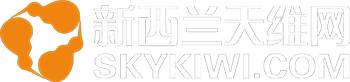 Skykiwi
