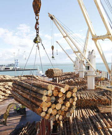 新西兰林业计划扩大出口每年额外增收五十九亿