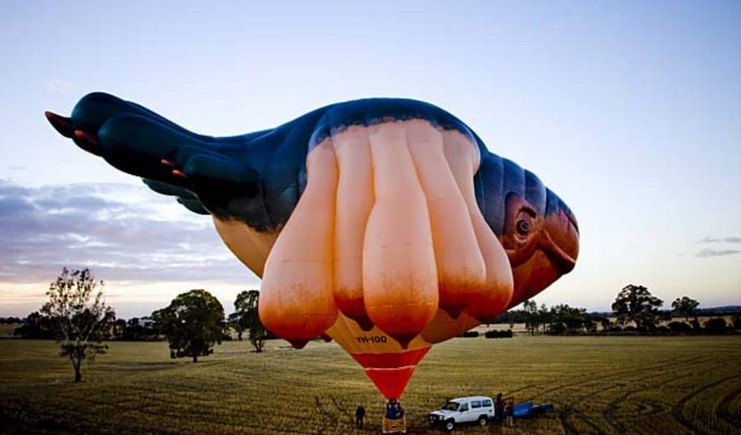 好奇葩的造型庆建都百年飞鲸将飞跃堪培拉